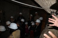 IMG 3642 web